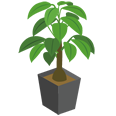 植木・観葉植物